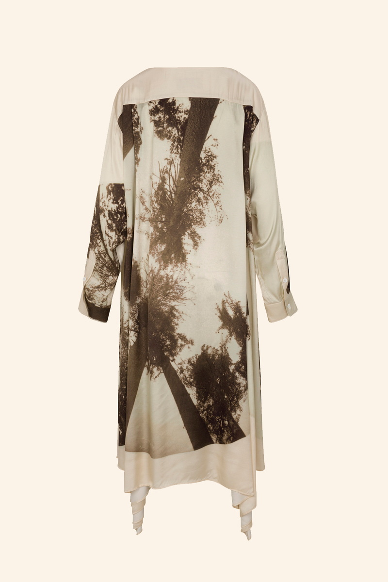 Canopy Satin Dress