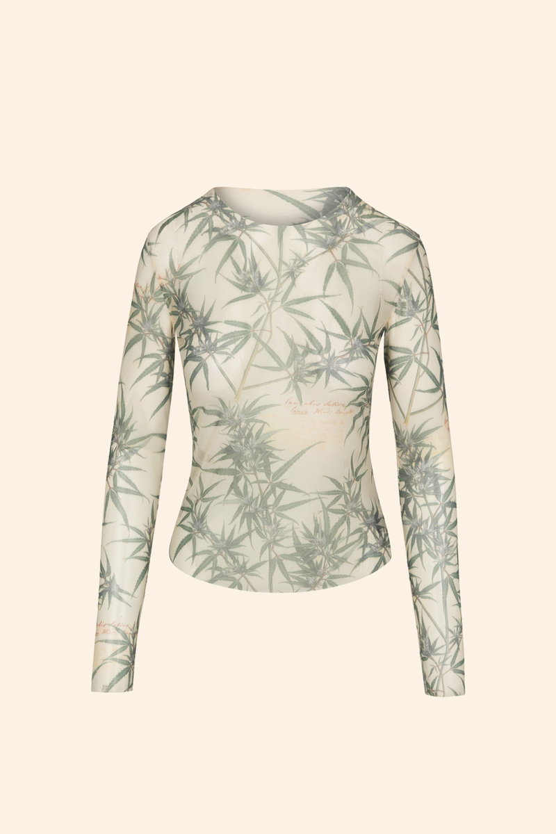 Grover Rad Chronic Mesh long sleeve top with cannabis leaves on cream background