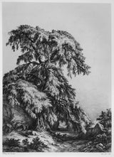 Juniper Organic Denim Jacket